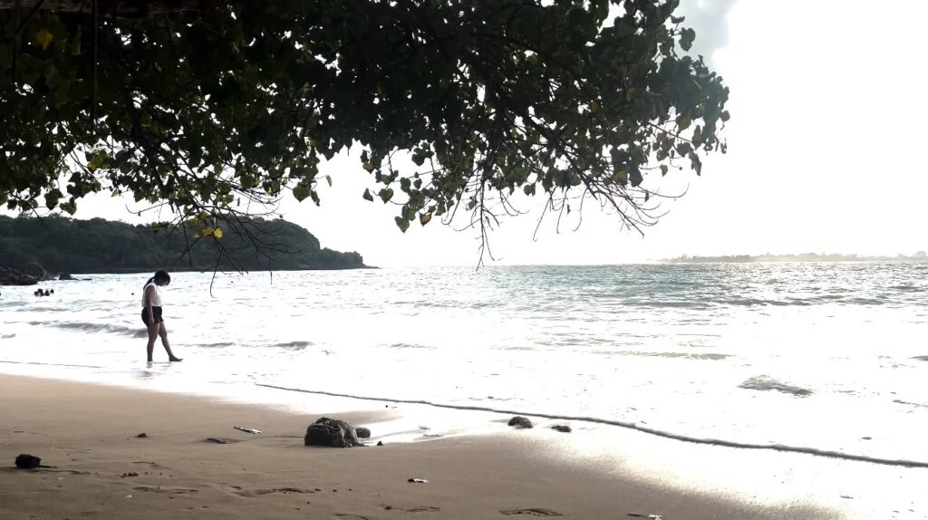 Jungle Beach Best Beaches in Sri Lanka-Jungle Beach
