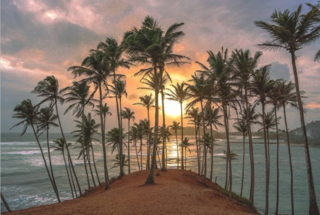 Mirissa Beach Best Beaches in Sri Lanka-Mirissa Beach